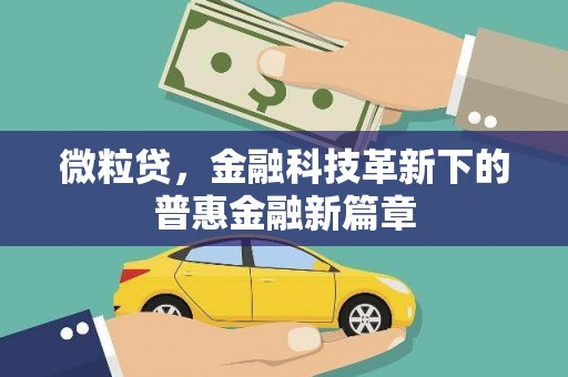 巨野微粒贷，金融科技革新下的普惠金融新篇章
