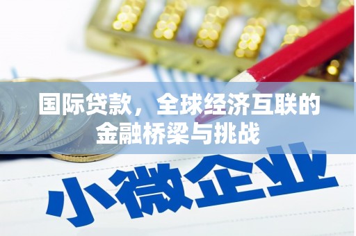 巨野国际贷款，全球经济互联的金融桥梁与挑战