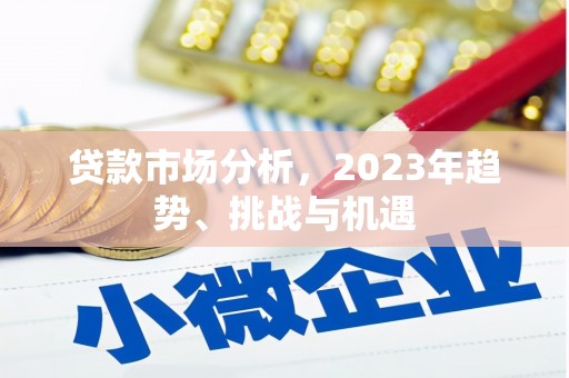 巨野贷款市场分析，2023年趋势、挑战与机遇