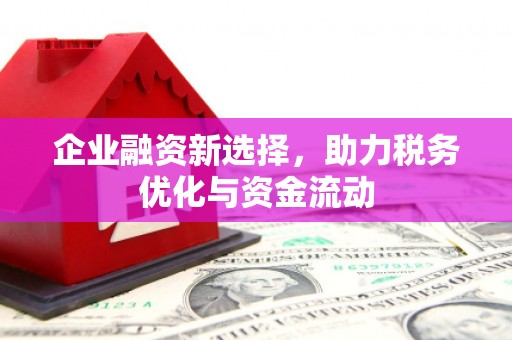 巨野企业融资新选择，助力税务优化与资金流动