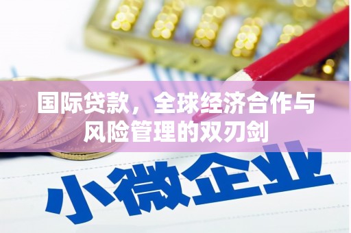 巨野国际贷款，全球经济合作与风险管理的双刃剑