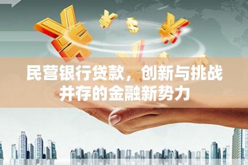 巨野民营银行贷款，创新与挑战并存的金融新势力