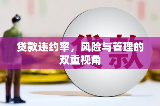 巨野贷款违约率，风险与管理的双重视角