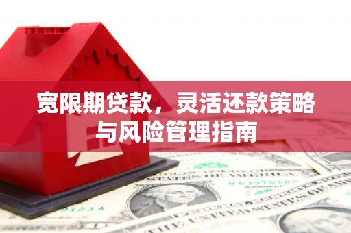 巨野宽限期贷款，灵活还款策略与风险管理指南