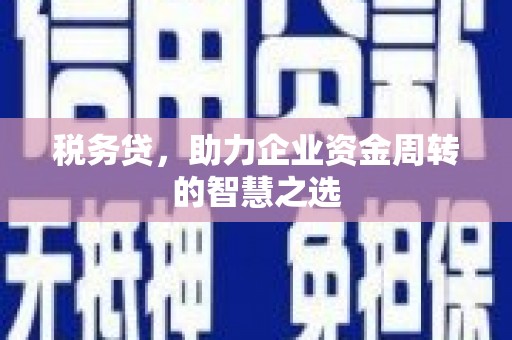 巨野税务贷，助力企业资金周转的智慧之选