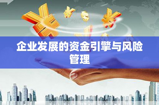 巨野企业发展的资金引擎与风险管理