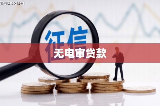 巨野无电审贷款