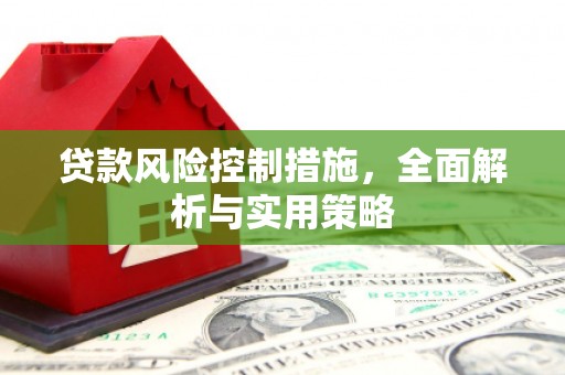 巨野贷款风险控制措施，全面解析与实用策略