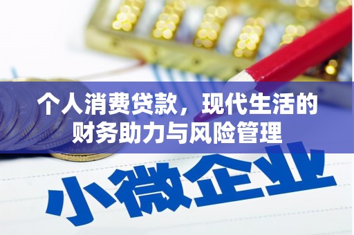 巨野个人消费贷款，现代生活的财务助力与风险管理