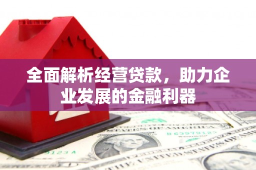巨野全面解析经营贷款，助力企业发展的金融利器