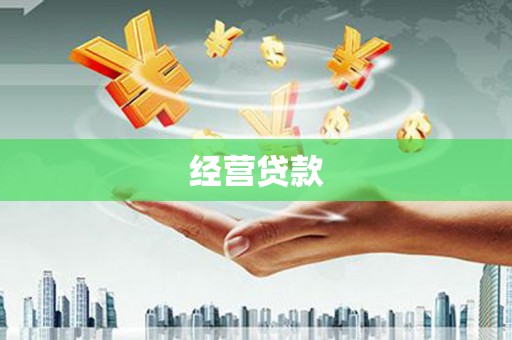 巨野经营贷款