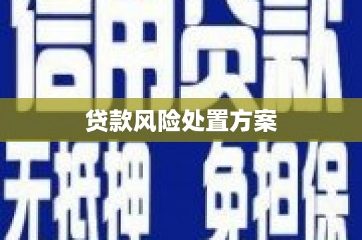 巨野贷款风险处置方案