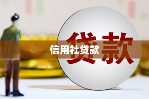 巨野信用社贷款