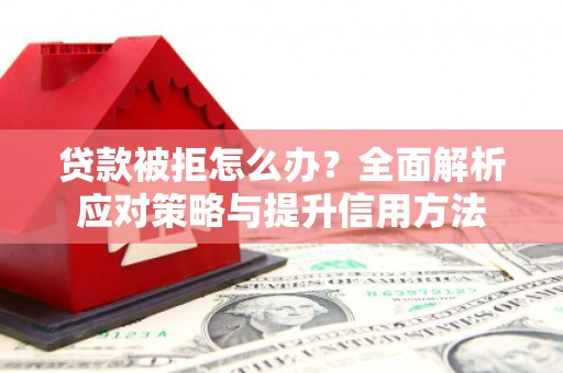 巨野贷款被拒怎么办？全面解析应对策略与提升信用方法