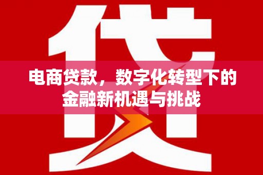巨野电商贷款，数字化转型下的金融新机遇与挑战