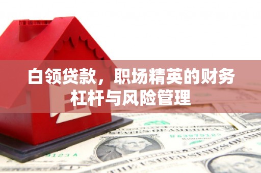 巨野白领贷款，职场精英的财务杠杆与风险管理