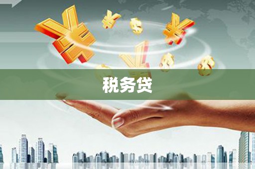 巨野税务贷