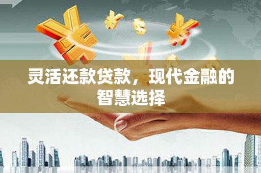 巨野灵活还款贷款，现代金融的智慧选择