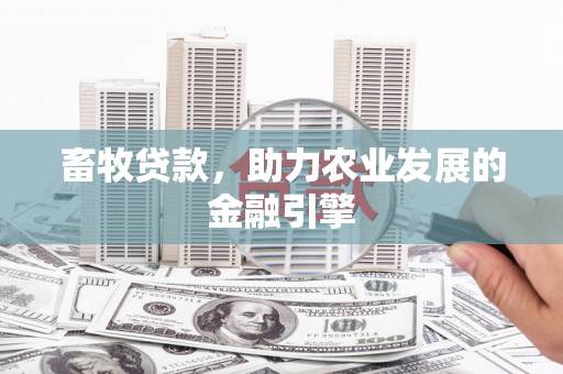 巨野畜牧贷款，助力农业发展的金融引擎