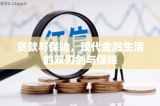 巨野贷款与保险，现代金融生活的双刃剑与保障