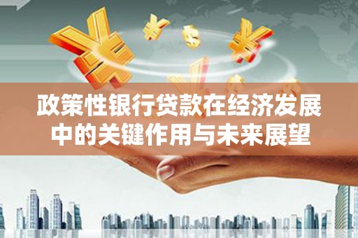巨野政策性银行贷款在经济发展中的关键作用与未来展望