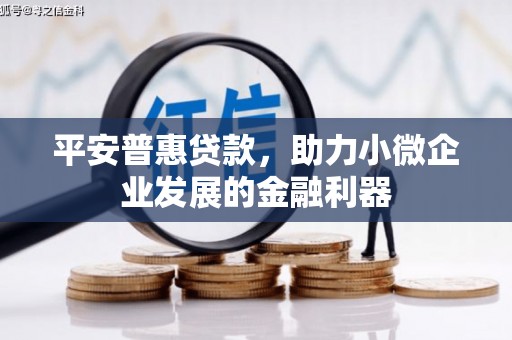 巨野平安普惠贷款，助力小微企业发展的金融利器