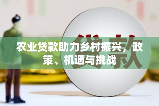 巨野农业贷款助力乡村振兴，政策、机遇与挑战