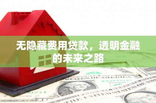 巨野无隐藏费用贷款，透明金融的未来之路
