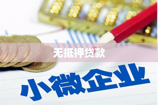 巨野无抵押贷款