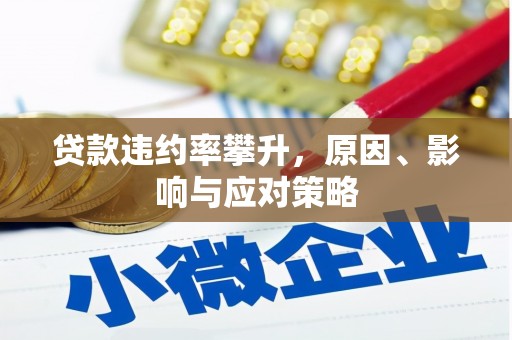 巨野贷款违约率攀升，原因、影响与应对策略