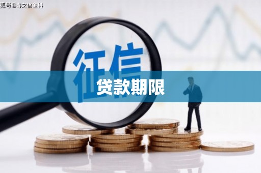 巨野贷款期限