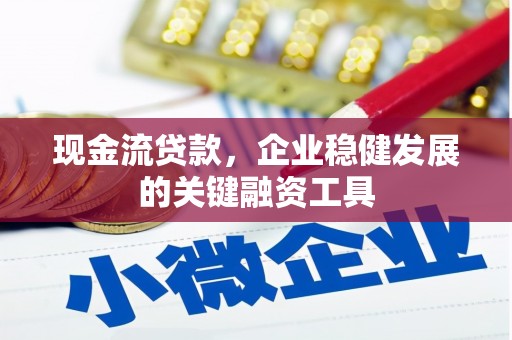 巨野现金流贷款，企业稳健发展的关键融资工具