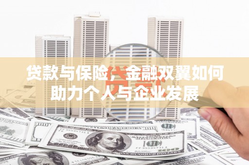 巨野贷款与保险，金融双翼如何助力个人与企业发展