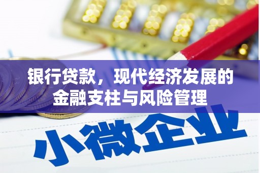 巨野银行贷款，现代经济发展的金融支柱与风险管理