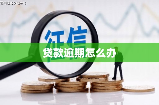 巨野贷款逾期怎么办