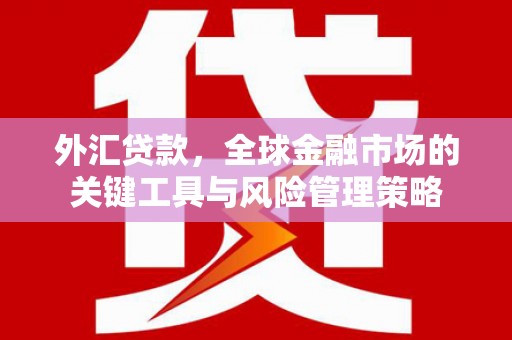 巨野外汇贷款，全球金融市场的关键工具与风险管理策略