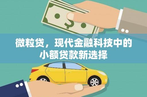 巨野微粒贷，现代金融科技中的小额贷款新选择