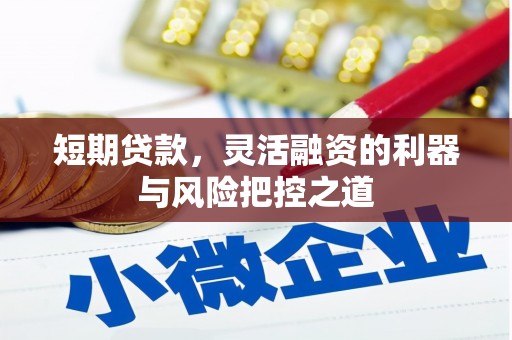 巨野短期贷款，灵活融资的利器与风险把控之道