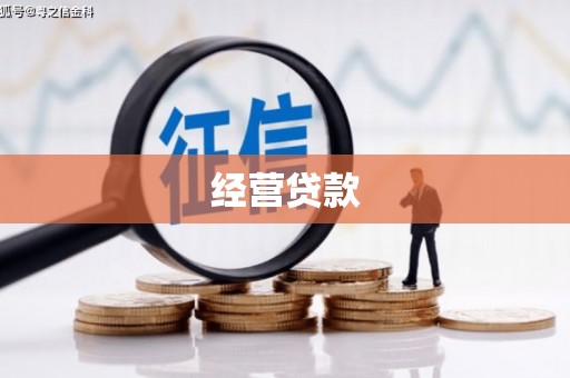 巨野经营贷款