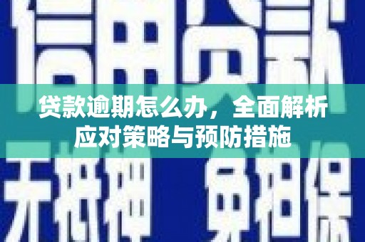 巨野贷款逾期怎么办，全面解析应对策略与预防措施