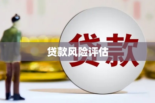 巨野贷款风险评估