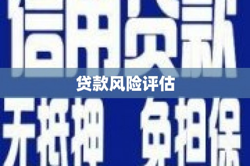 巨野贷款风险评估