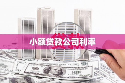 巨野小额贷款公司利率