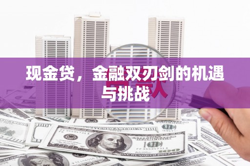 巨野现金贷，金融双刃剑的机遇与挑战