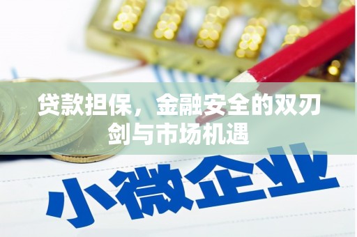 巨野贷款担保，金融安全的双刃剑与市场机遇