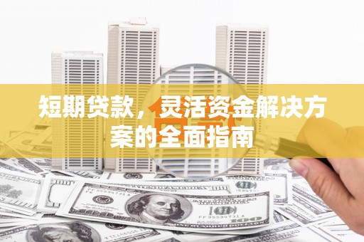 巨野短期贷款，灵活资金解决方案的全面指南