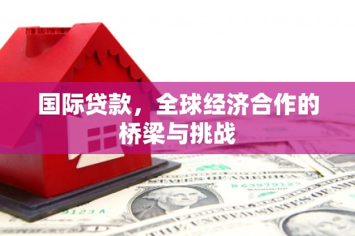 巨野国际贷款，全球经济合作的桥梁与挑战