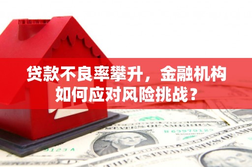 巨野贷款不良率攀升，金融机构如何应对风险挑战？