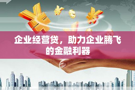 巨野企业经营贷，助力企业腾飞的金融利器