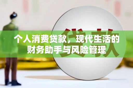 巨野个人消费贷款，现代生活的财务助手与风险管理